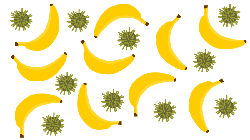 Bananas with flashing flu cells around them