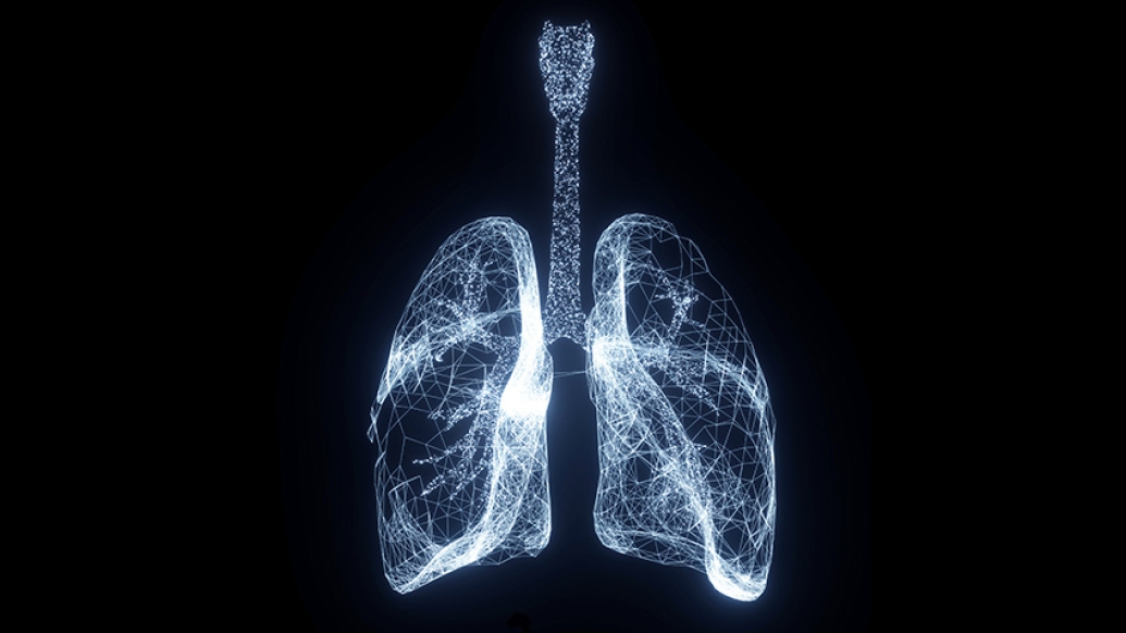 lungs glowing white wire black background