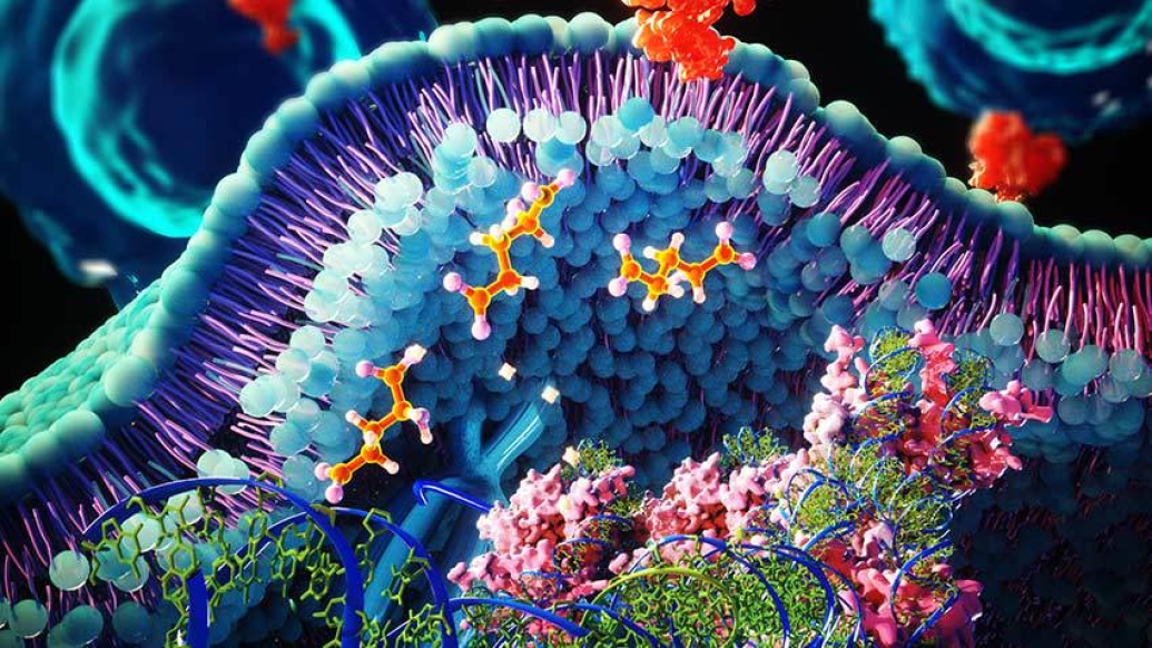 colorful microscopic amino acid cells
