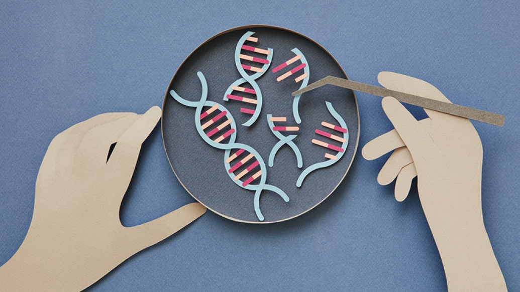 paper cut out dna helix hands