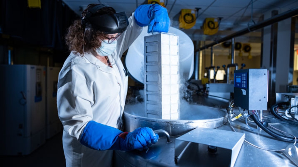 person lifting samples in biorepository with blue gloves, white coat and mask and goggles on