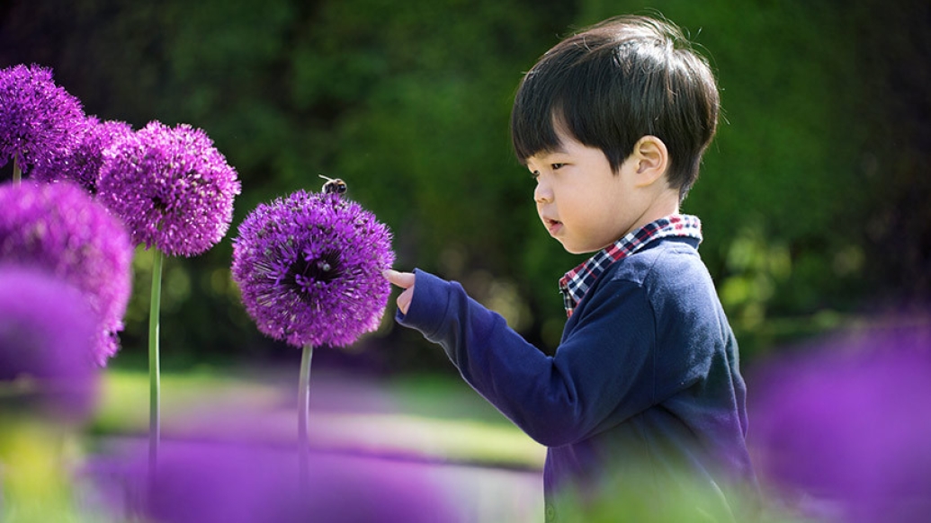 toddler boy touching purple flower with bee on it in field 