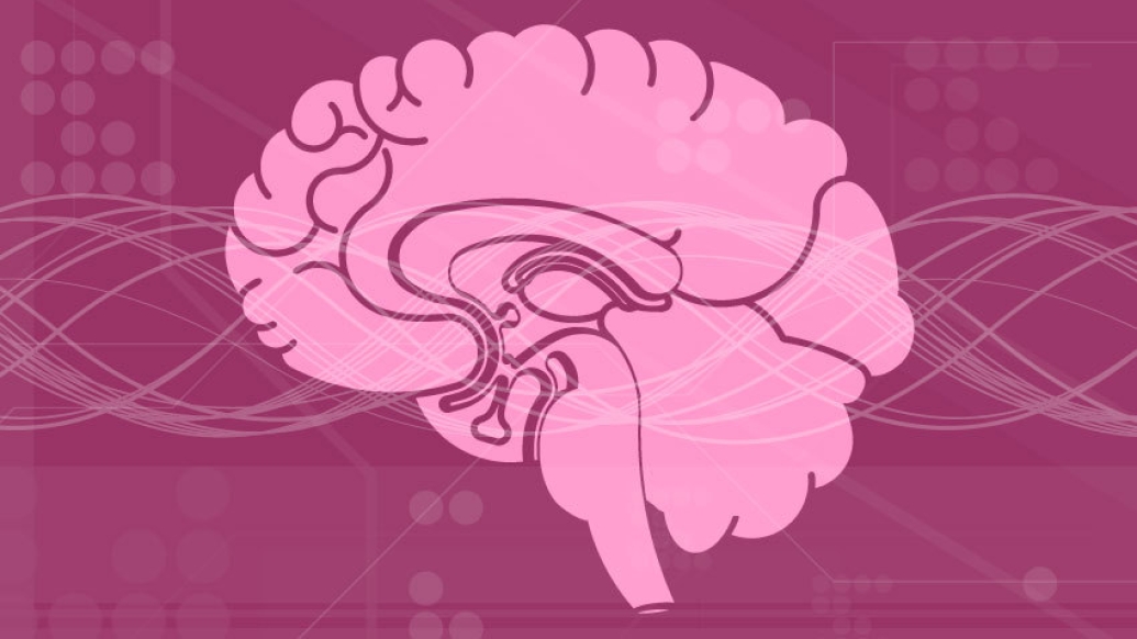 drawing of a pink brain on a dark pink background
